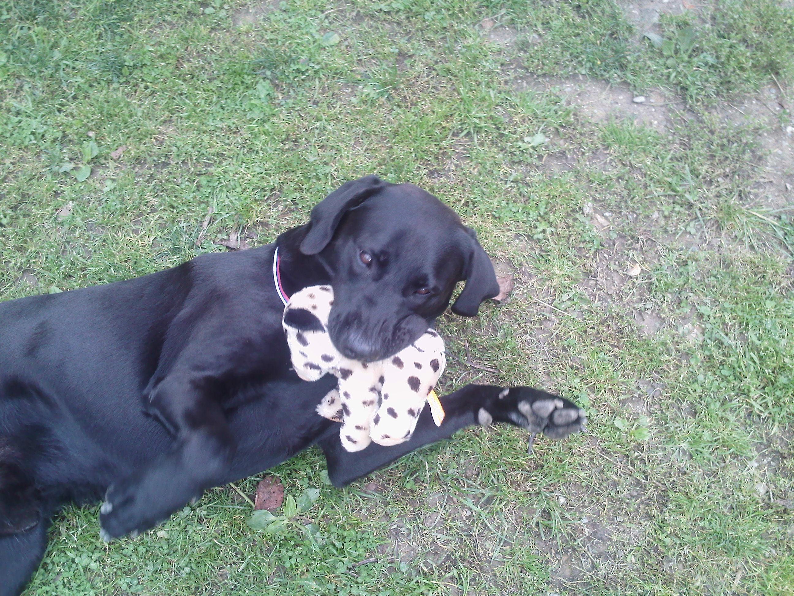  foto 050.jpg
